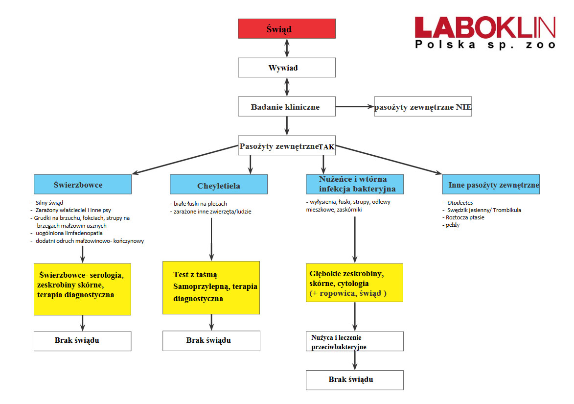 Opracowanie laboklin 1